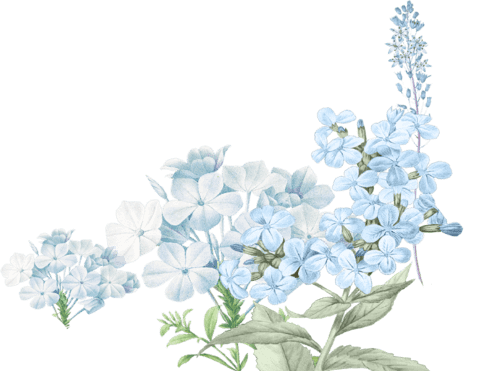 Bunga gazebo kanan.png